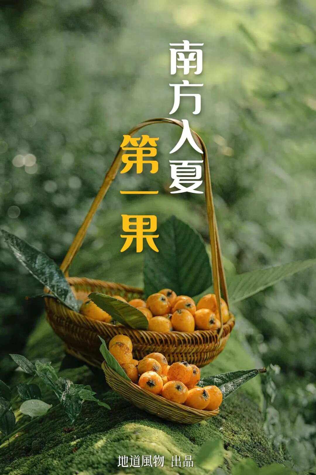 粉王苹果版粉柚苹果版下载