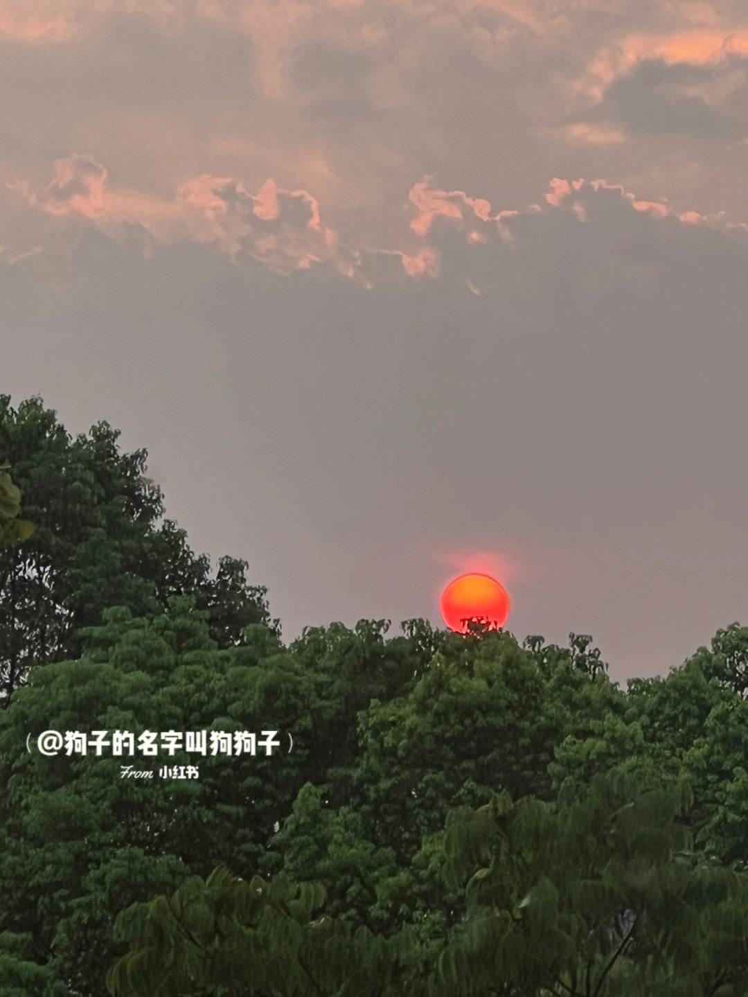 看天空苹果版守护天空影视app苹果