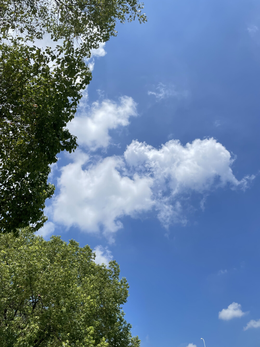 看天空苹果版守护天空影视app苹果-第2张图片-太平洋在线下载