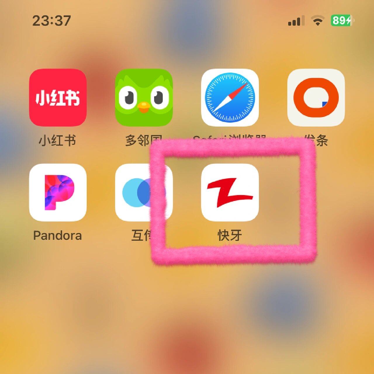 苹果山寨版app苹果app下载限制解除-第2张图片-太平洋在线下载