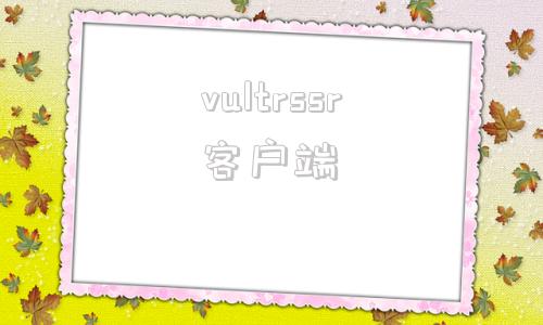 vultrssr客户端的简单介绍